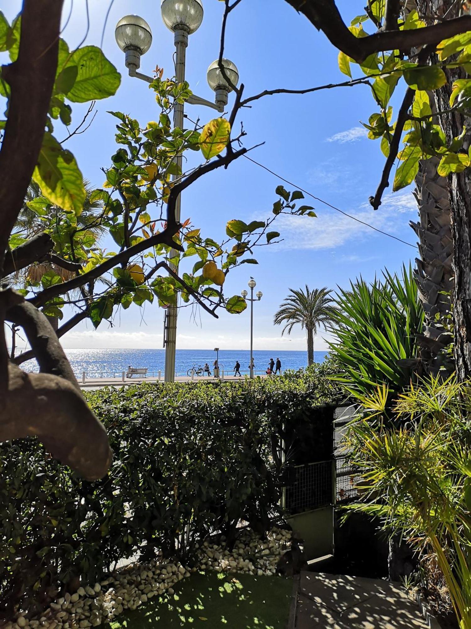 Garden Atlantide Promenade Apartment Nice Exterior photo