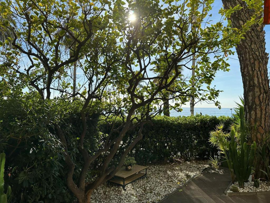 Garden Atlantide Promenade Apartment Nice Exterior photo